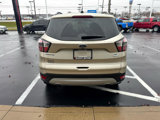 Used 2017 Ford Escape SE w/ Equipment Group 201A image 4