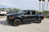 Used 2025 Ford F150 XLT image 5