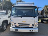 New 2025 Chevrolet Low Cab Forward image 2