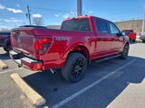 New 2025 Ford F150 STX image 3
