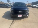 New 2025 Ford F150 Platinum w/ Equipment Group 702A High image 3