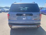 New 2026 Honda Passport TrailSport Elite image 4