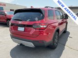 Used 2025 Honda Pilot TrailSport image 2