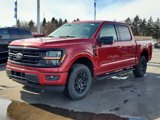 New 2025 Ford F150 XLT w/ Equipment Group 302A MID image 3