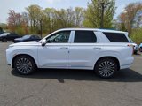 New 2025 Hyundai Palisade Calligraphy image 6