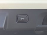 New 2025 Hyundai Palisade Calligraphy image 5