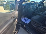 New 2025 Ford F150 STX w/ Equipment Group 200A image 6