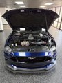 Used 2019 Ford Mustang GT w/ Equipment Group 301A image 5