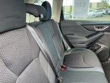 Certified 2023 Subaru Forester Premium image 3