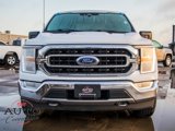 Used 2021 Ford F150 XLT w/ Equipment Group 301A Mid image 5