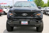 New 2025 Ford F150 XLT w/ Equipment Group 303A High image 3