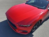 Used 2024 Ford Mustang Premium image 4