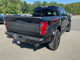 New 2025 Ford F150 Raptor image 3