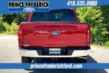 New 2025 Ford F150 XLT w/ Equipment Group 302A MID image 4
