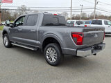 New 2025 Ford F150 XLT w/ Equipment Group 303A High image 4