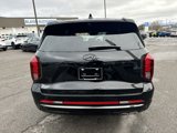 New 2025 Hyundai Palisade Calligraphy image 4