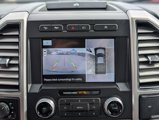 Used 2019 Ford F150 Platinum w/ Equipment Group 701A Luxury image 3
