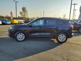 New 2025 Ford Escape Active w/ Tech Pack #1 image 6