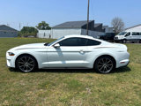 Used 2018 Ford Mustang Premium w/ Equipment Group 201A image 4