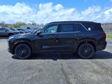 New 2025 Hyundai Palisade Calligraphy image 4
