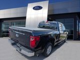 Certified 2024 Ford F150 XL w/ Equipment Group 103A High image 2