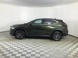 Used 2023 Lexus NX 250 FWD w/ Premium Package image 4