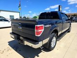Used 2013 Ford F150 XLT w/ Luxury Equipment Group image 5