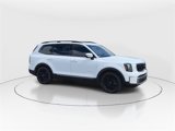 Used 2023 Kia Telluride SX Prestige X-Pro image 2