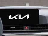 New 2025 Kia Carnival SX image 2