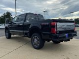 New 2025 Ford F250 Platinum image 4