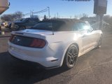 Used 2020 Ford Mustang Premium image 5