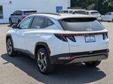 Used 2023 Hyundai Tucson Limited image 3