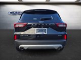 Used 2024 Ford Escape Active image 4