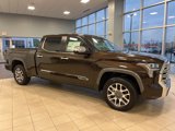 New 2025 Toyota Tundra 1794 Edition image 4