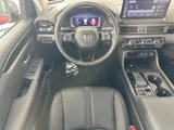 New 2026 Honda Passport RTL image 2