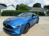 Used 2019 Ford Mustang GT w/ Equipment Group 301A image 4