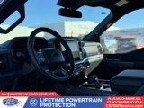 New 2025 Ford F150 XLT w/ Equipment Group 302A MID image 2