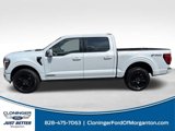 New 2025 Ford F150 Platinum w/ Equipment Group 702A High image 4