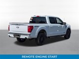 New 2025 Ford F150 XLT w/ Equipment Group 303A High image 3