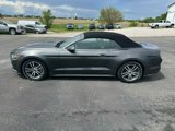 Used 2016 Ford Mustang Premium image 2