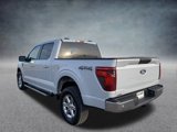 New 2025 Ford F150 XLT w/ Equipment Group 301A Standard image 5