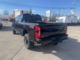New 2025 Ford F250 Platinum image 4