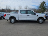 Used 2021 Ford F150 XL w/ Equipment Group 101A High image 3