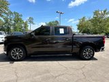 Used 2019 Chevrolet Silverado 1500 LT w/ All-Star Edition image 6