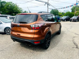 Used 2017 Ford Escape SE w/ Equipment Group 201A image 6