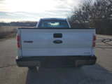 Used 2010 Ford F150 XL image 5