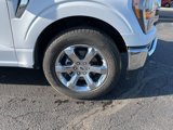 Used 2023 Ford F150 XLT w/ Equipment Group 301A Mid image 5