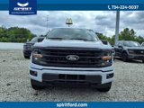 New 2025 Ford F150 XLT w/ Equipment Group 303A High image 2