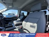New 2025 Ford F150 XLT w/ Equipment Group 302A MID image 4