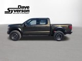 New 2025 Ford F150 Raptor image 2